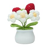 caiyjhao Crocheted Strawberry Potted Plants with Wool, Hand-Made Artificial Flowers and Lovely Crocheted Potted Plants, Which were Used for Creative DIY Table Decoration, Home Decoration and Gifts