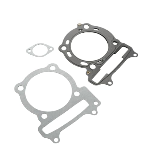 Joint d'embase cylindre pour réparer moteur scooter People S 300 - 3
