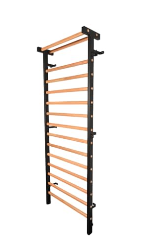 ARTIMEX Sprossenwand aus Metall/Holz für Physiotherapie und Gymnastik-Wird in Heimen, Fitnessstudios, Kliniken und Fitnesscentern verwendet - Artikelnr. 221-M