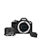 Canon EOS R50 Systemkamera + RF-S 18-45mm is STM Objektiv 2X Batterien (Zusätzliches Akku-Kit) - Spiegellose Kamera (Digitalkamera mit Autofokus + Motiverkennung für Personen Augen Tiere Fahrzeuge.)