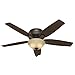 Hunter Fan Company 53314 Newsome Ceiling Fan with Light, 52"/Large, Premier Bronze
