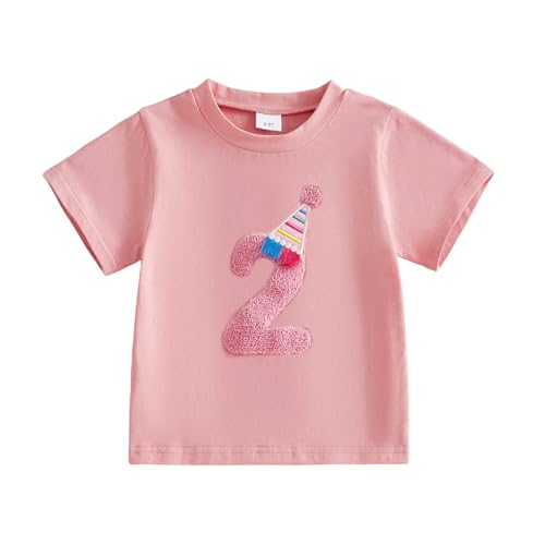 MAHUAOYIXI Baby Girls Birthday Tops for Kids Girls T Shirt Short Sleeve Crewneck Number Embroidery Pullover Toddler Birthday Summer Clothes (Pink Two 2-3 Years)