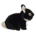 Aurora® Adorable Miyoni® Tots Netherland Dwarf Bunny Stuffed Animal - Lifelike Details Make a Cherished Companion - Perfect for Decorating Bedrooms or Classrooms - Black 7.5 Inches