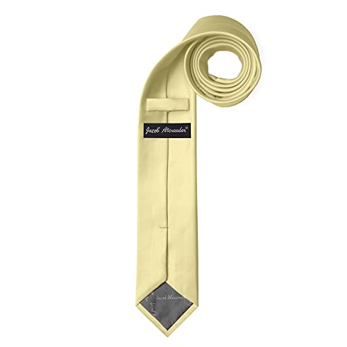 Image of Jacob Alexander Men's Skinny Width 2 inch Solid Color Tie
