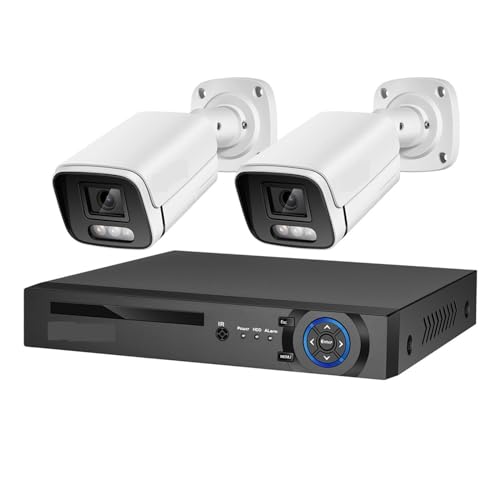 Equipo de videovigilancia de cámaras de Seguridad 4K 8MP H.265 PoE NVR Kit cámara CCTV Impermeable for Exteriores Conjunto de grabación de vídeo(2T,4CH NVR and 2 Camera)