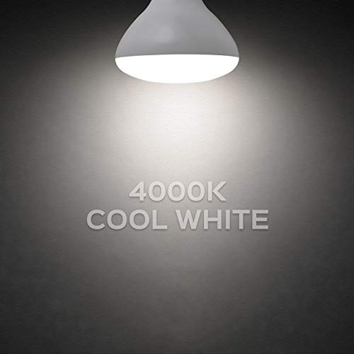 Luxrite Br40 Led Light Bulbs, 85W Equivalent, 4000K Cool White, Dimmable, 1100 Lumens, Led Flood Light Bulb, 14W, E26 Medium Base, Indoor/Outdoor - Perfect For Office And Recessed Lighting (6 Pack) #TOP2