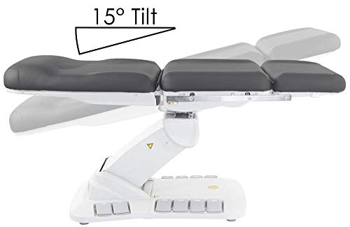 Kana Electric Treatment Table With Stirrups Included By Skinact (Black) #TOP3