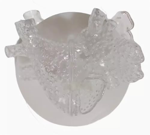 Entraîneur d'atrium gauche multi-trous AMITD pour simulation de ponction transseptale - 2