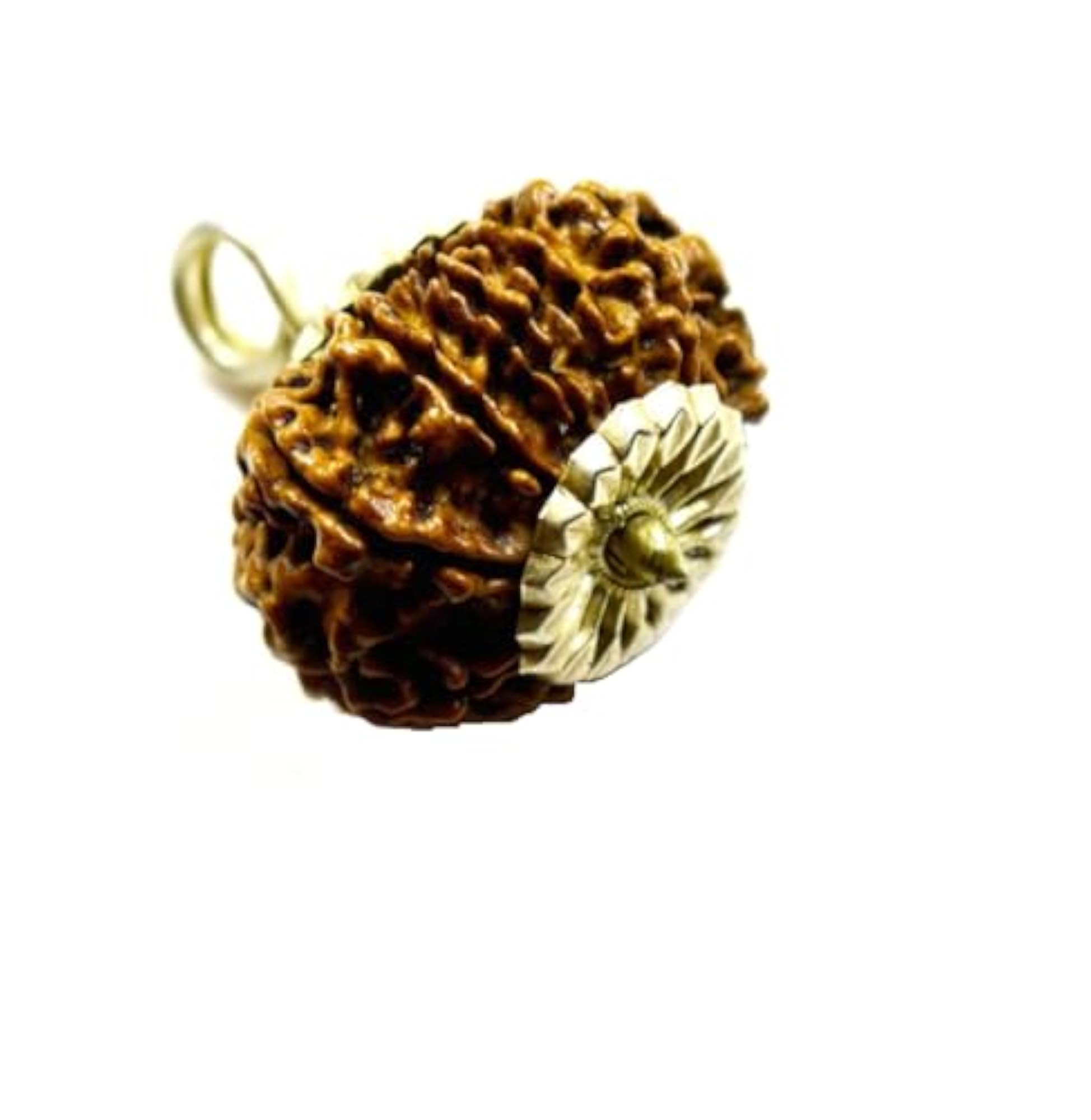 17 Mukhi Rudraksha Pendant, Original Certified Gift