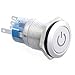 DIGITEN 19mm Waterproof Stainless Steel Blue 12V LED Button Switch Push ON/OFF car boat