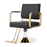 Barber Salon Chair, 440lbs Adjustable Beauty Spa Hair Styling Salon Chair 360° Rotatable Multi-Function Barber Chair with Footrest for Barber Shops Homes & Spas (Black+Golden)