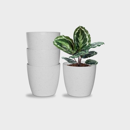 Image of YUCCABE ITALIA SHERA Stella 8 Inch Plastic Plant Pot for Home Decor Indoor Plant Pots for Living Room Plastic Flower Pot for Garden (Marble White, 8 INCH - 4 Pcs)
