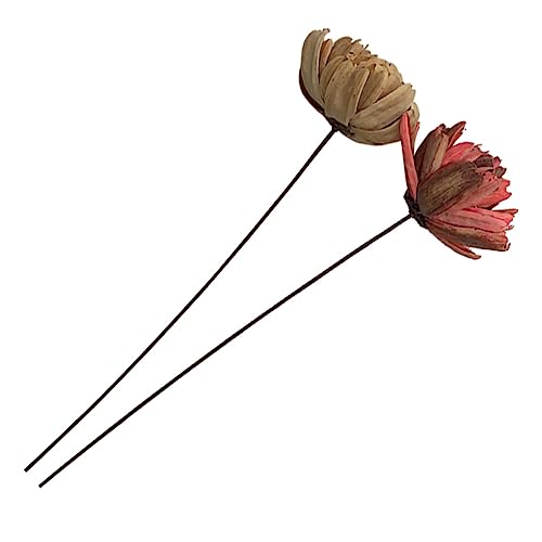 Ramo Decorativo de Flores Secas Natural 2 Piezas miniatura 1
