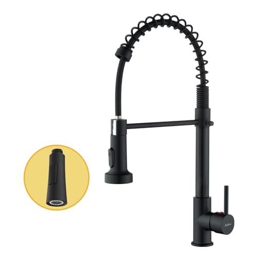 Baollansa Robinet Cuisine,Mitigeur Cuisine Avec Douchette,Pivotant à 360°,Robinet De Cuisine à Double Mode Et Arc Haut,Acier Inoxydable(Noir)