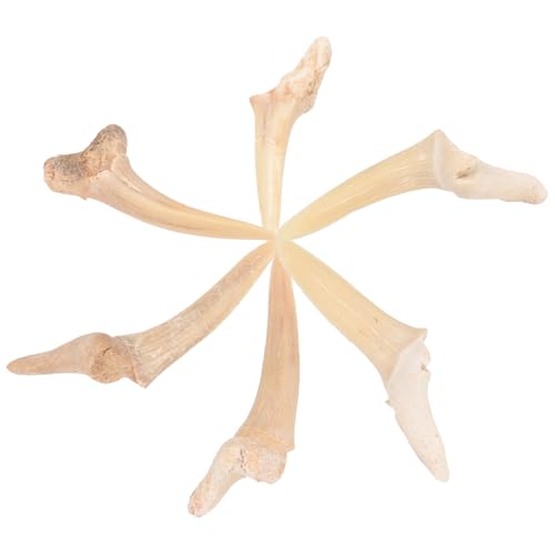 [ibasenice] T̎y_glbNX nhChWG[ YpƎqp t@~[ Ή aNX}X 6Zbg