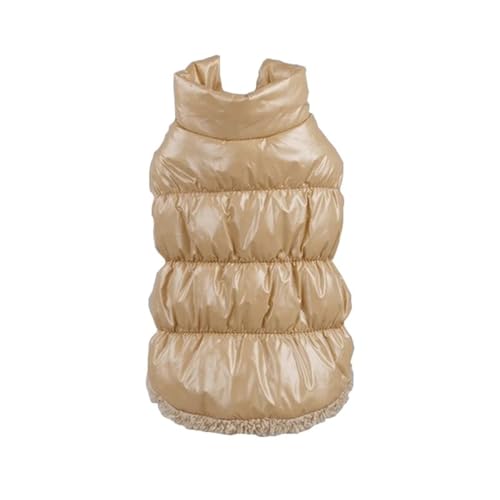 hh_EWPbg~̒ghL[NV[V[Y[ČpO,x[W,XL