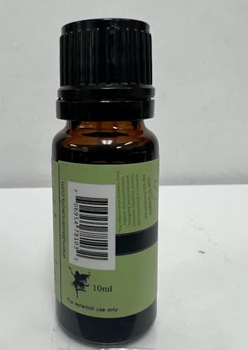 Image of Green Tea Premium Grade Fragrance Oil - Scented Oil - 10ml