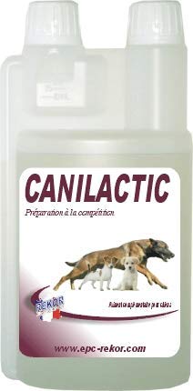 Rekor Canilactic 1 L pour la performance du chien de chasse et sport