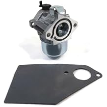 The ROP Shop Carburetor with Gasket for Briggs & Stratton 192402-1015-E1, 192402-1100-E1