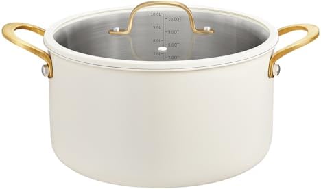 BEZIA 8 Quart Stainless Steel Stock Pot, Casserole with Lid, Larg...