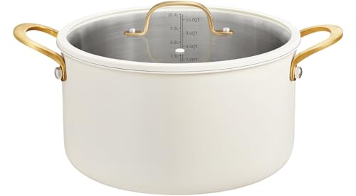 BEZIA 10 Quart Large Stainless Steel Stock Pot, Tri-Ply Stainless Steel Stockpot, Visible Lid with Silicone Edging, Sturdy & Double Handle, Induction Cooking Pot for Pasta, Soup, Spaghetti
