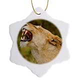 3 inch Snowflake Porcelain Ornament - Lioness, Panthera Leo, Yawning, Maasai Mara Wildlife Reserve, Kenya. Jagdeep Rajput - Lions