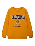 Sweatshirt für Jungen, Rundhalsausschnitt, Regular Fit