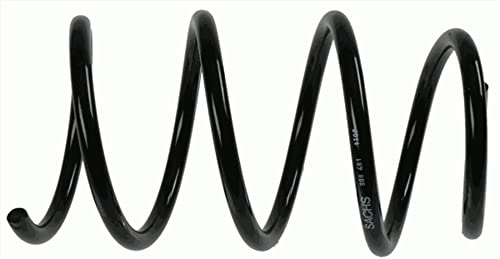 Molla Elicoidale Sachs 998 481