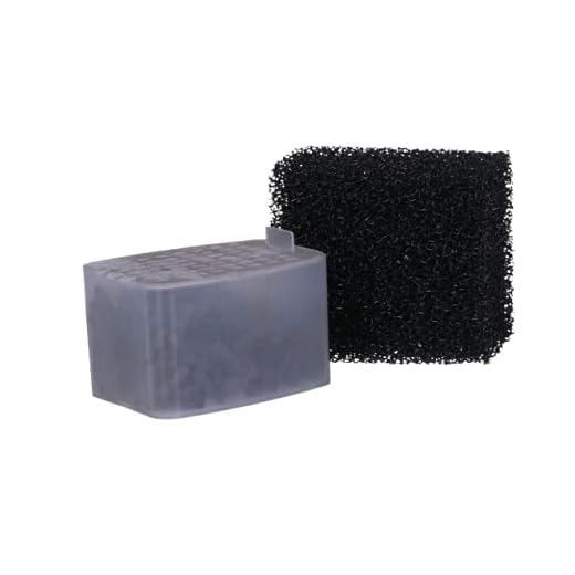 Cartouche Charbon avec Mousse pour Filtre BT700, Lot de 2