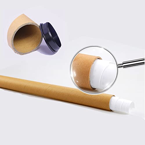 123 Life Vintage Insect Wall Art Poster - Entomology Identification Reference Chart For Home Office Dorm Unframed 30X45Cm/12X18Inch #TOP6