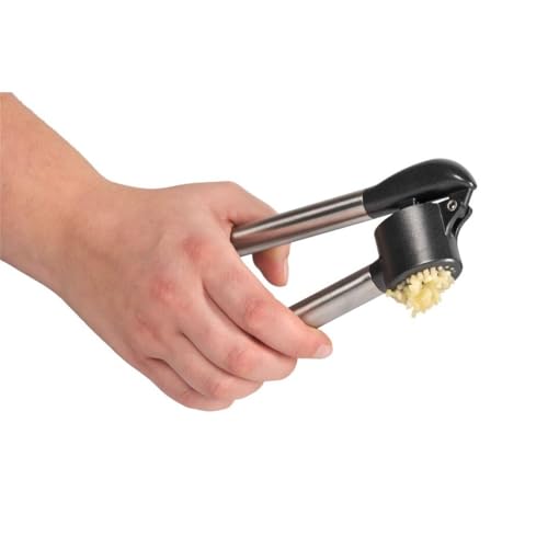 WMF 1894606030 Spremi Aglio, Plastica, Argento, 20...