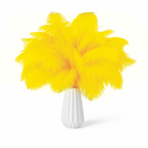 NEWONG 30pcs Yellow Ostrich Feathers Natural Bulk 8-10in20-25cm Vase Craft Wedding Home Party Centerpieces Christmas Day Decoration