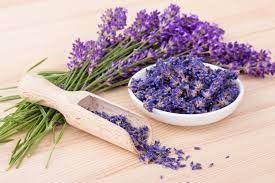 See full amazon price history chart for ANTIER LAVENDER HERB SEEDS (AVG 30-50) SEEDS X 1 PACKET ANTIER LAVENDER HERB SEEDS (AVG 30-50) SEEDS X 1 PACKET (B07GYZZW28) Amazon Price History, Amazon Price Tracker