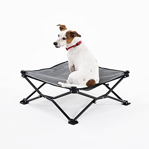 11 Best Dog Beds for Summer (and One to Avoid!) [2023 Reviews]