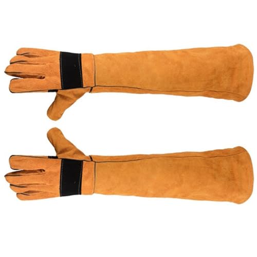 Gants de manipulation pour l'élagage des roses et chien - 7