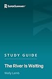 Study Guide: The River Is Waiting by Wally Lamb (SuperSummary)