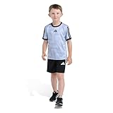 adidas baby-boys Two-Piece Short Sleeve All Over Printed World Cup Tee & Short Set, Halo Silver, 4T