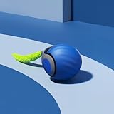 Speedy Ball with Tail Cat Toy, Smart Interactive Toy for Bored Indoor Cats 2 Speeds, Automatic Cat Rolling Ball 2.0 Enrichment Toys, Turbo Electric Self Moving 3.0, Electronic Rollie Pet Chase