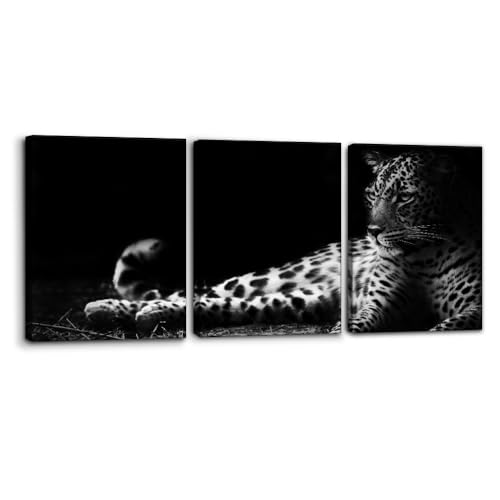 Pacimo Animals Wall Art Set of 3 - Framed Canvas