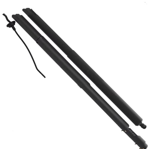 Vérins à gaz haut de gamme pour hayon électrique Tesla Model X 2015-2021 (112969800A)
