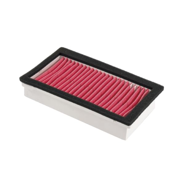 RIDE AND CUSTOM Filtro Area Compatibile con Yamaha Xt E 600 1990-2002
