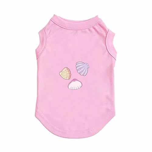 [XANPYO] ybg TVc ^Ngbv  ێ Ȃ ̕ Ȑ Vc ^ ^ t S   Vc ĕ  ʋC _炩 sN Eѕی h p  lGʗp y EȒP o|