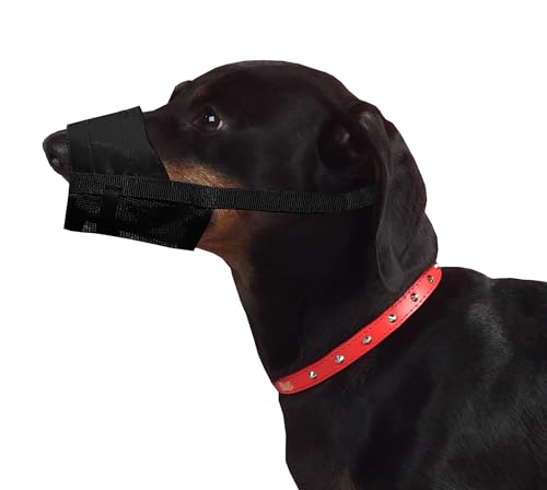 Dingo Weiches Nylon Maulkorb mit atmungsaktivem Netz für kleine Rassen, Welpen, Jack Russel Terier Dackel Verstellbarer Halsgurt, Schwarz 16773-2