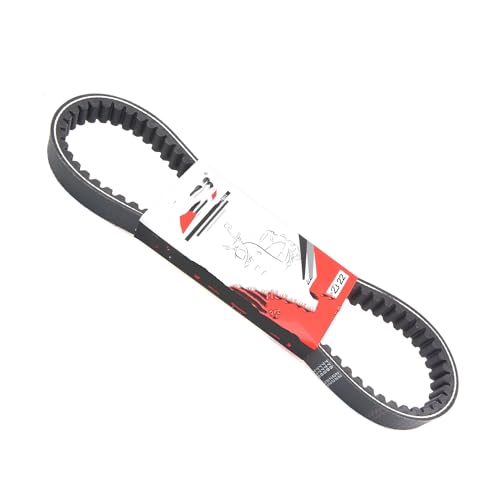 Courroie distribution scooter 778 * 22 : transmission d'embrayage pour Dingo T150