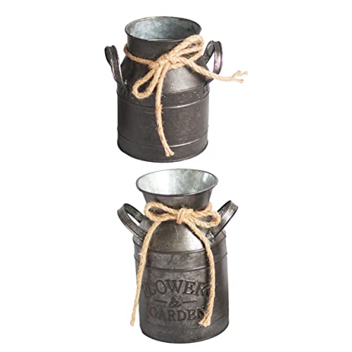 Alipis 2pcs Vintage Flower Bucket Creative Pot Container for Home Office Garden Balcony Unique Retro Design Flower Holder for Various Occasions