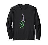 Lavender plant blossom scent aroma herbs garden