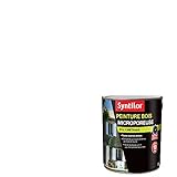 Syntilor