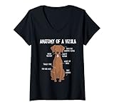 Hilarious Doggos Puppies & Memes