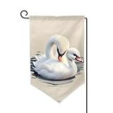Joli petit cygne Joli petit cygne