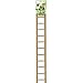A&E Cage Company 52400831: Ladder Happy Beaks Wood Sm 18In